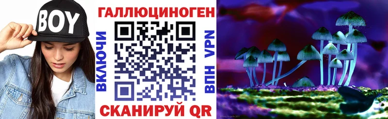 Галлюциногенные грибы Psilocybe  Купить закладки  Приморск 